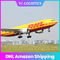 EY AA DHL Express Delivery International Do Europy Day Delivery