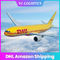 Dostawa w ciągu dnia LCL DHL Air Shipping, DDP DHL Usługa międzynarodowa od drzwi do drzwi