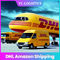TK 5 do 6 dni CZ DHL Spedytor Chiny do USA Amazon