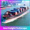Międzynarodowy transport morski od 6 do 7 dni DDP DDU do Europy z Chin