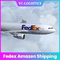 Profesjonalny Fedex Amazon Shipping Doświadczony Air To Maroko Ddp Door to Door